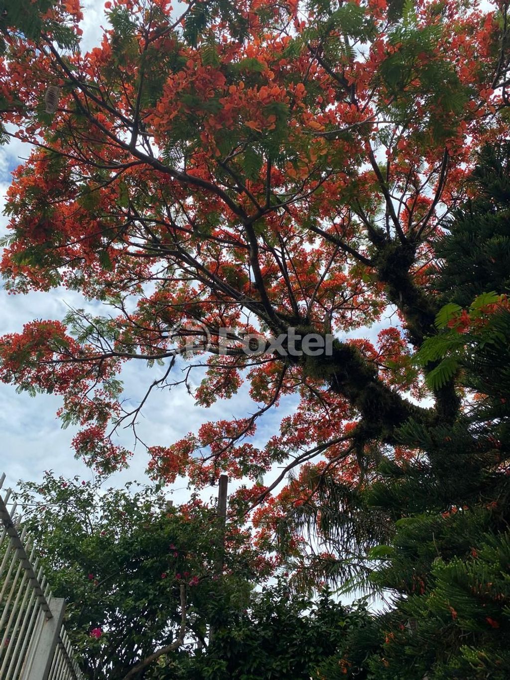 casa sobrado para comprar em Bartolomeu Dias, 333 - foto 53