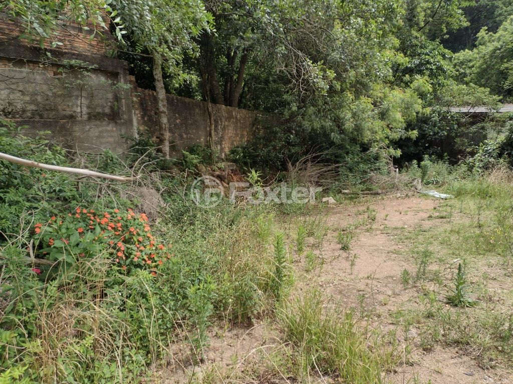 terreno lote condominio para comprar em Professor Oscar Pereira, 6622 - foto 7