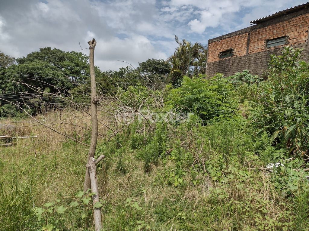 terreno lote condominio para comprar em Professor Oscar Pereira, 6622 - foto 6