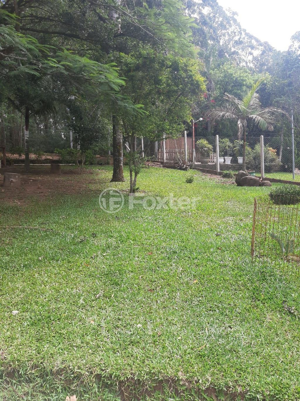 sitio chachara fazenda para comprar em Mendanha, 1267 - foto 13