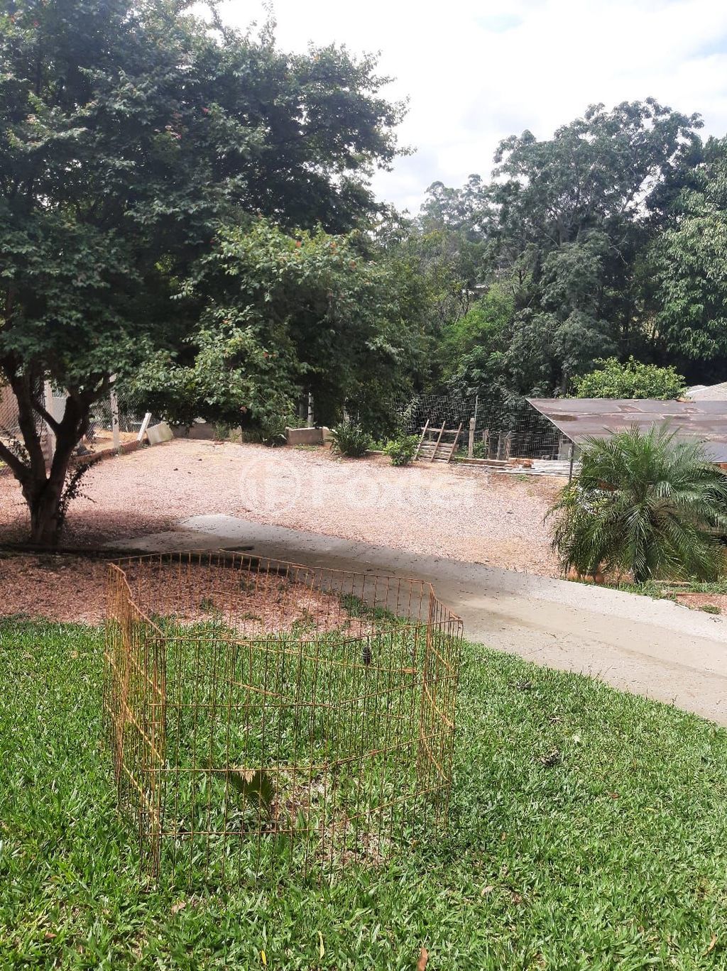 sitio chachara fazenda para comprar em Mendanha, 1267 - foto 12
