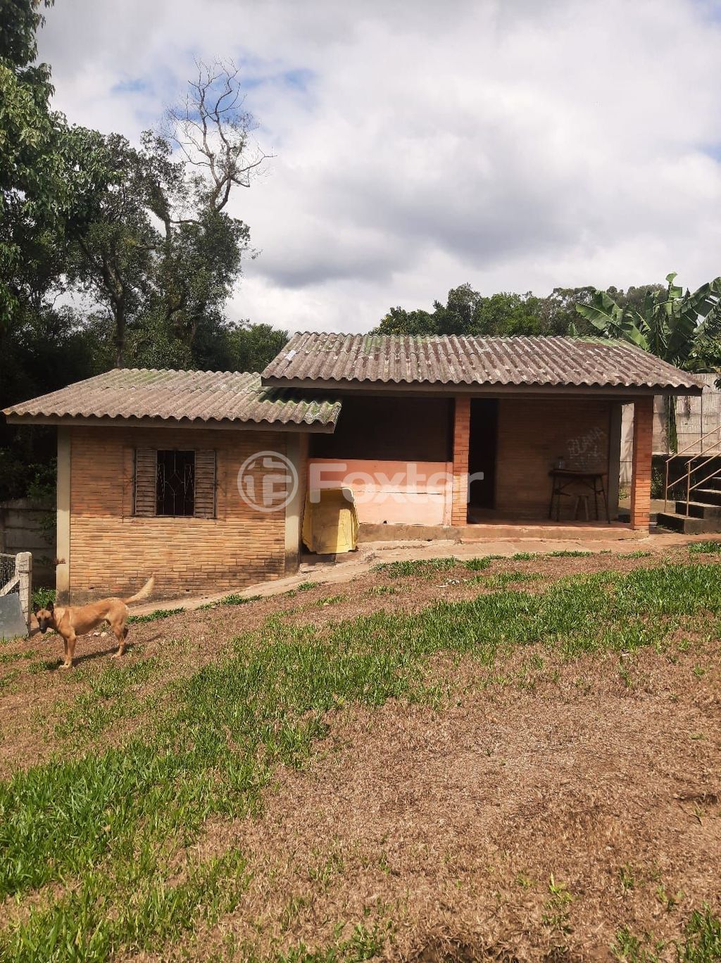 sitio chachara fazenda para comprar em Mendanha, 1267 - foto 14
