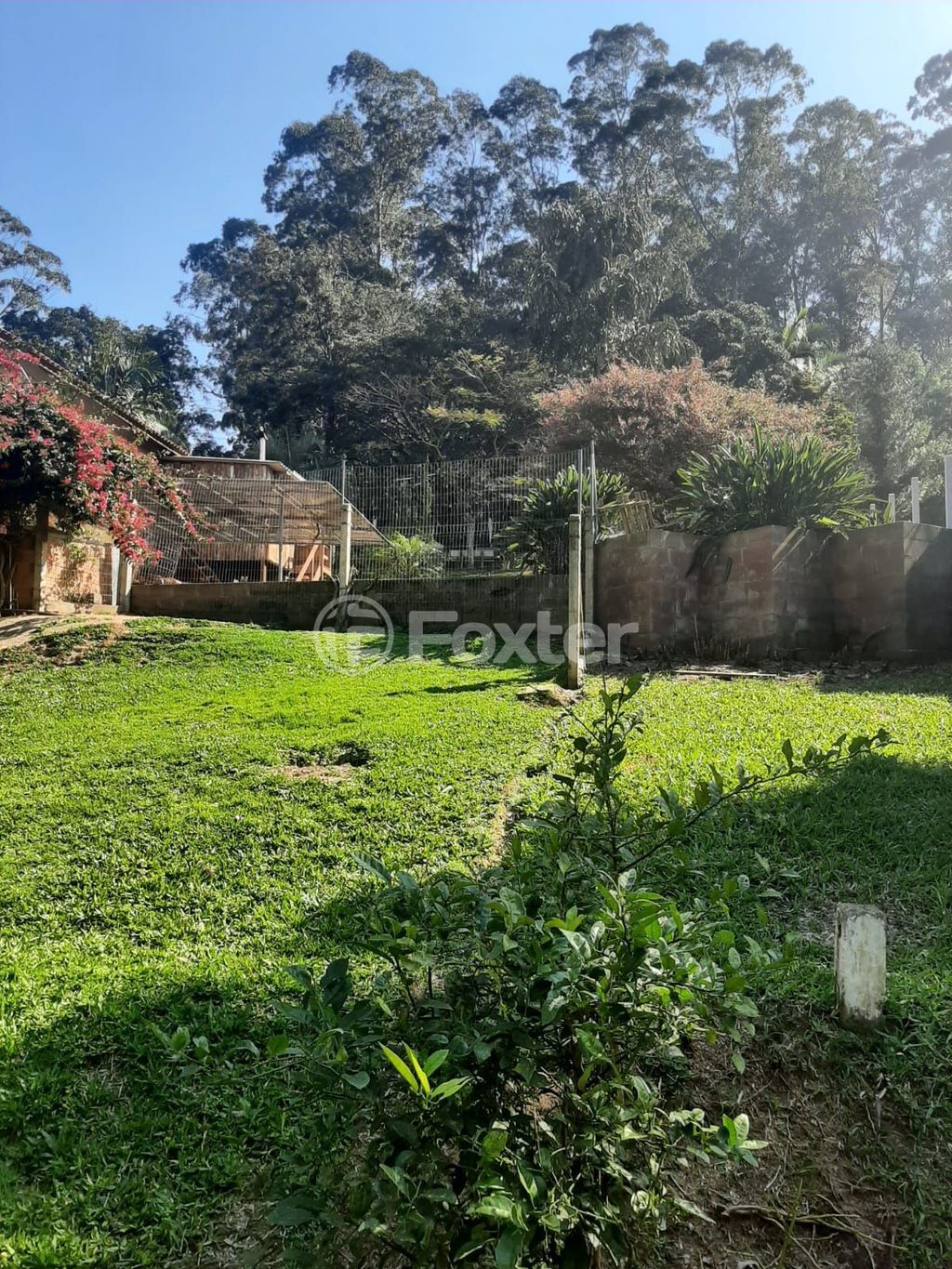 sitio chachara fazenda para comprar em Mendanha, 1267 - foto 23