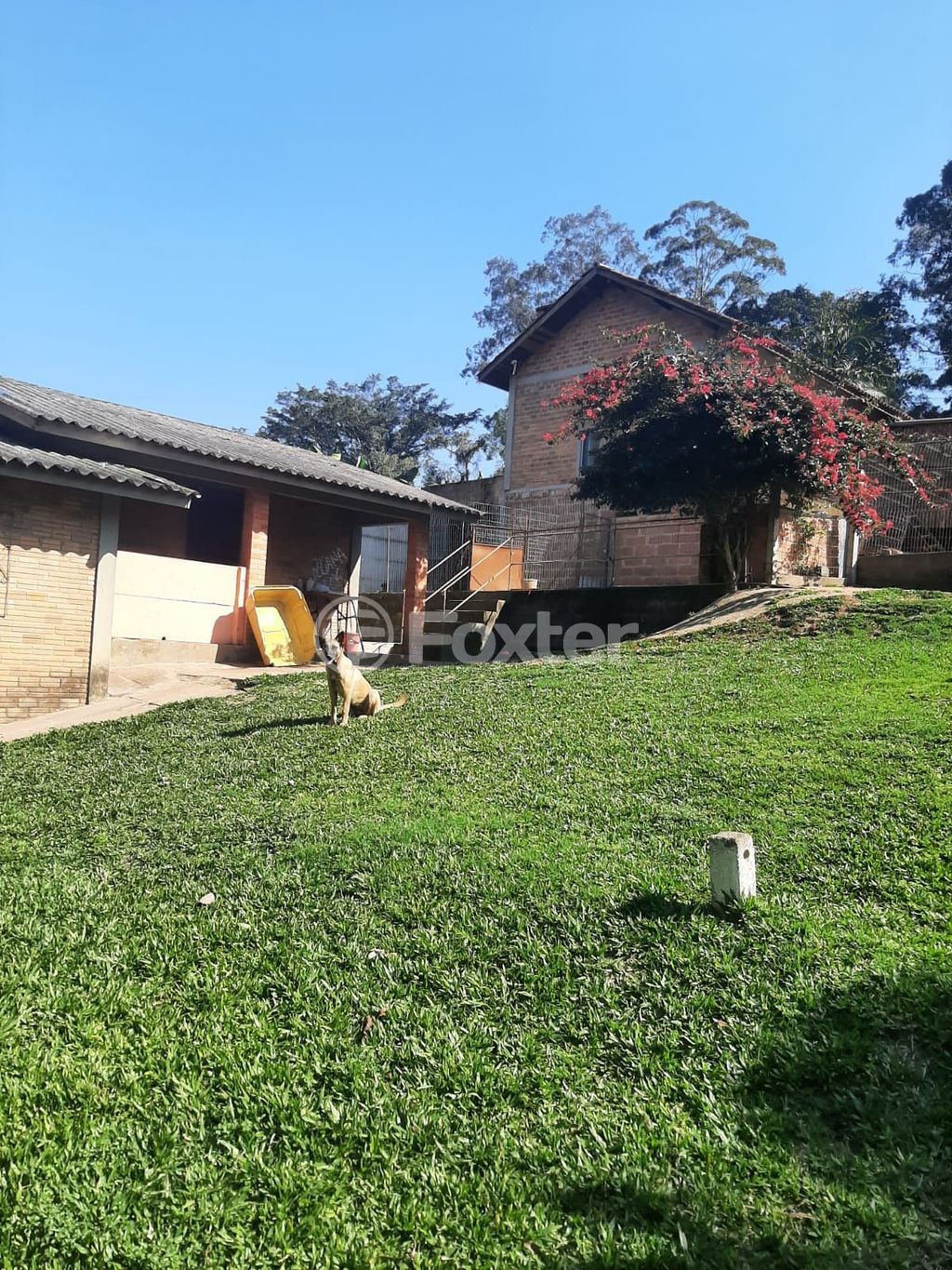 sitio chachara fazenda para comprar em Mendanha, 1267 - foto 25