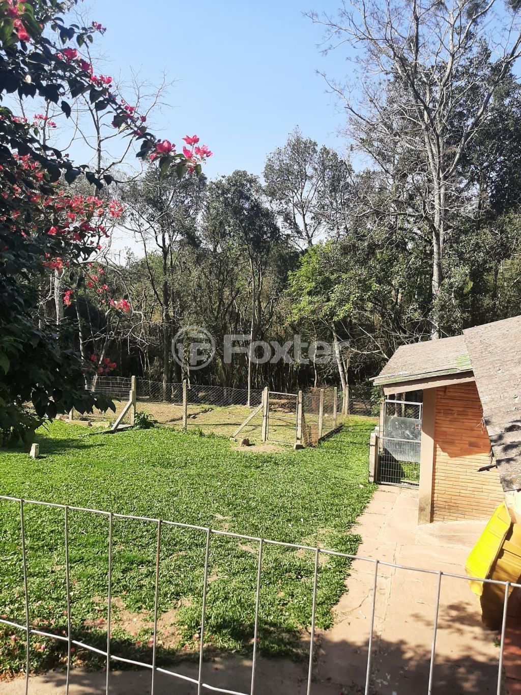 sitio chachara fazenda para comprar em Mendanha, 1267 - foto 30