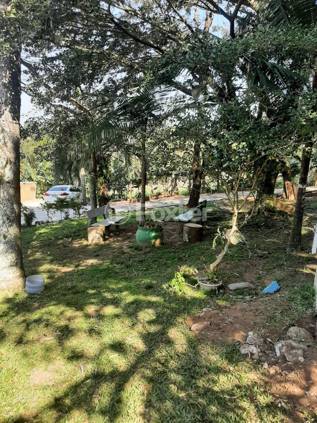 sitio chachara fazenda para comprar em Mendanha, 1267 - foto 29
