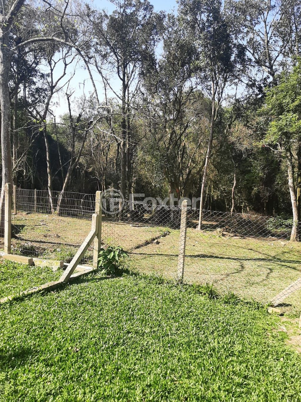 sitio chachara fazenda para comprar em Mendanha, 1267 - foto 36