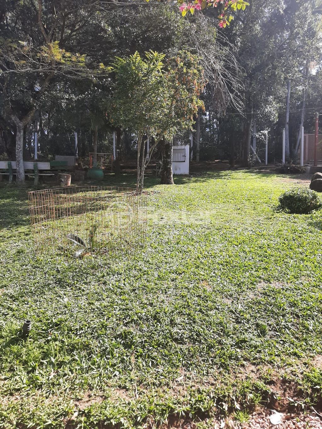 sitio chachara fazenda para comprar em Mendanha, 1267 - foto 35