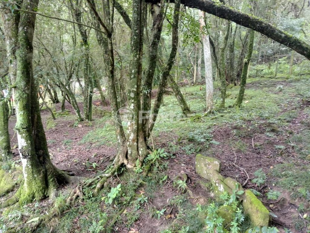 sitio chachara fazenda para comprar em Retiro da Ponta Grossa, 5371 - foto 6