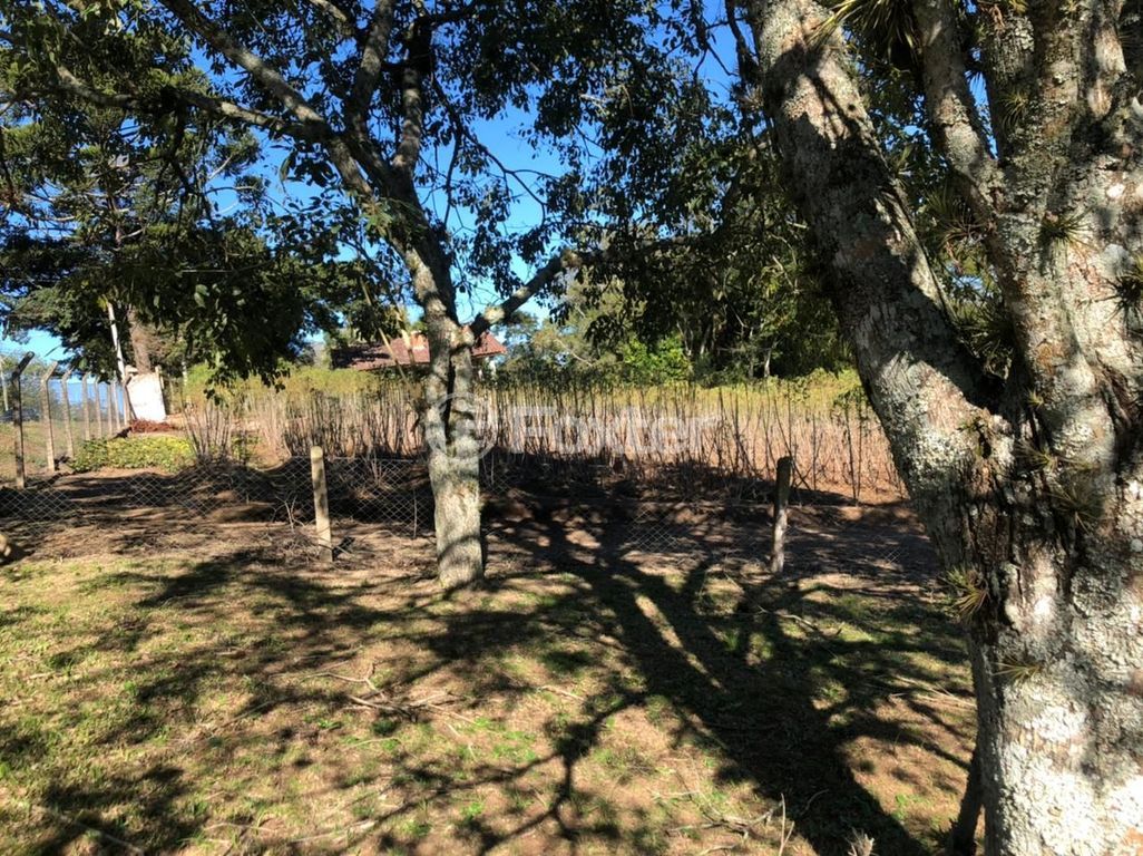 sitio chachara fazenda para comprar em Felipe de Freitas Cabral, 774 - foto 12