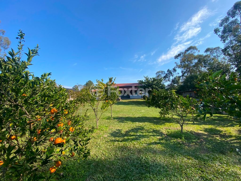 sitio chachara fazenda para comprar em dos Bambus, 111 - foto 55