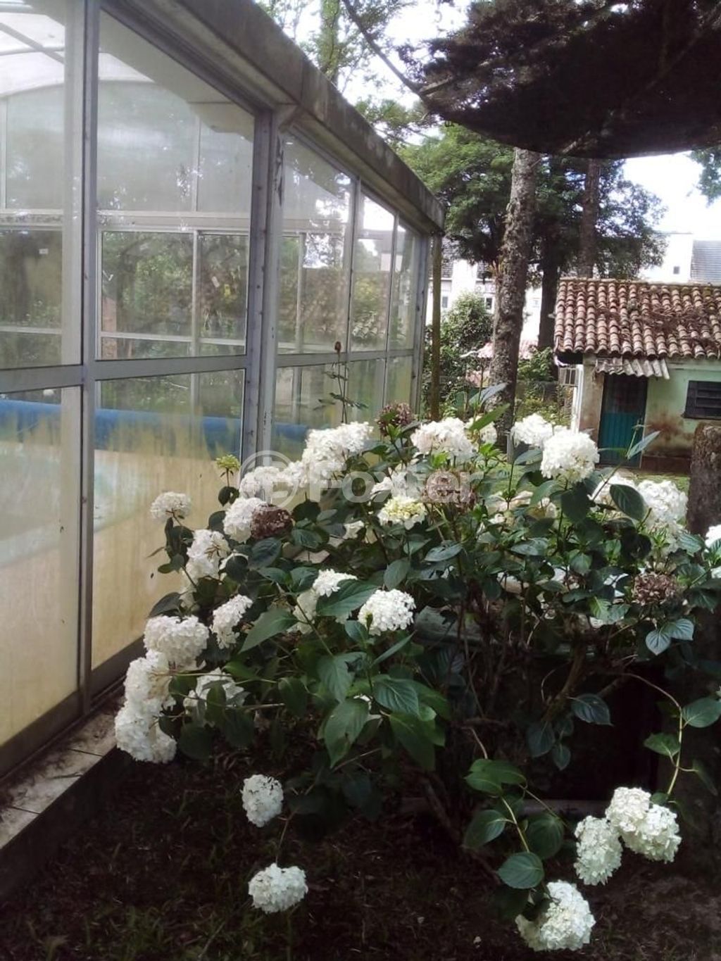 sitio chachara fazenda para comprar em Jayr da Silva Veiga, 730 - foto 28
