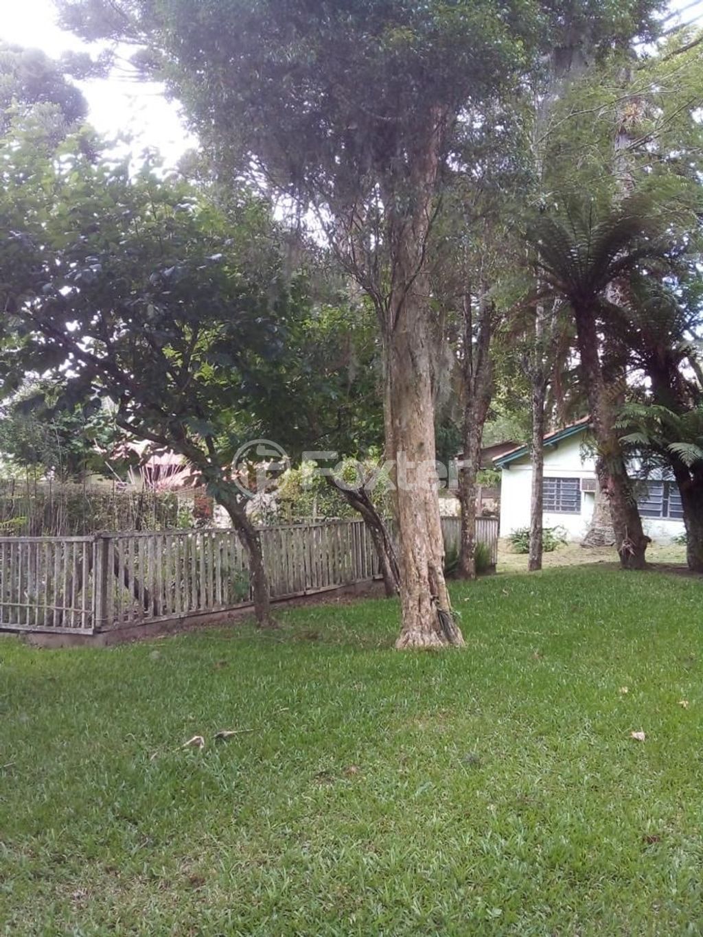 sitio chachara fazenda para comprar em Jayr da Silva Veiga, 730 - foto 25