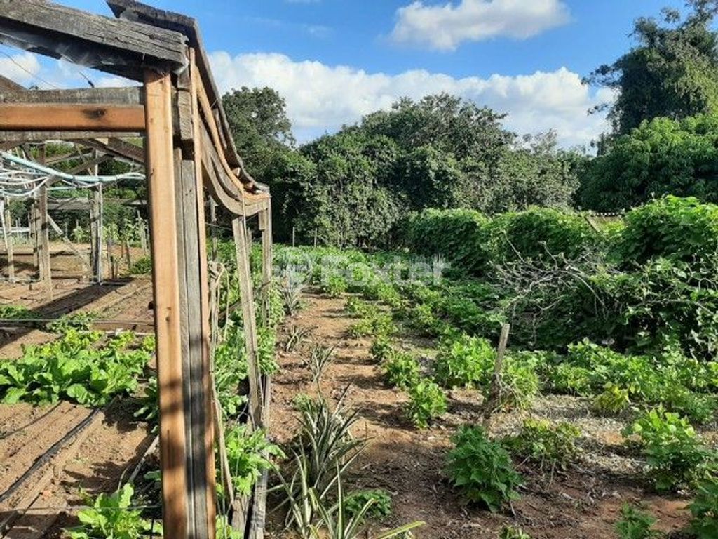 sitio chachara fazenda para comprar em Dom Pedro I, 205 - foto 7