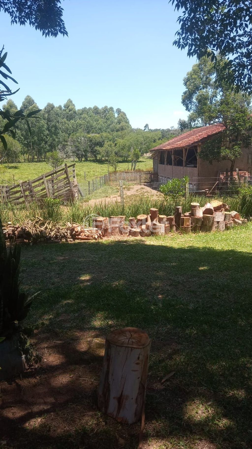 terreno lote condominio para comprar em do Quilombo, 1641 - foto 6