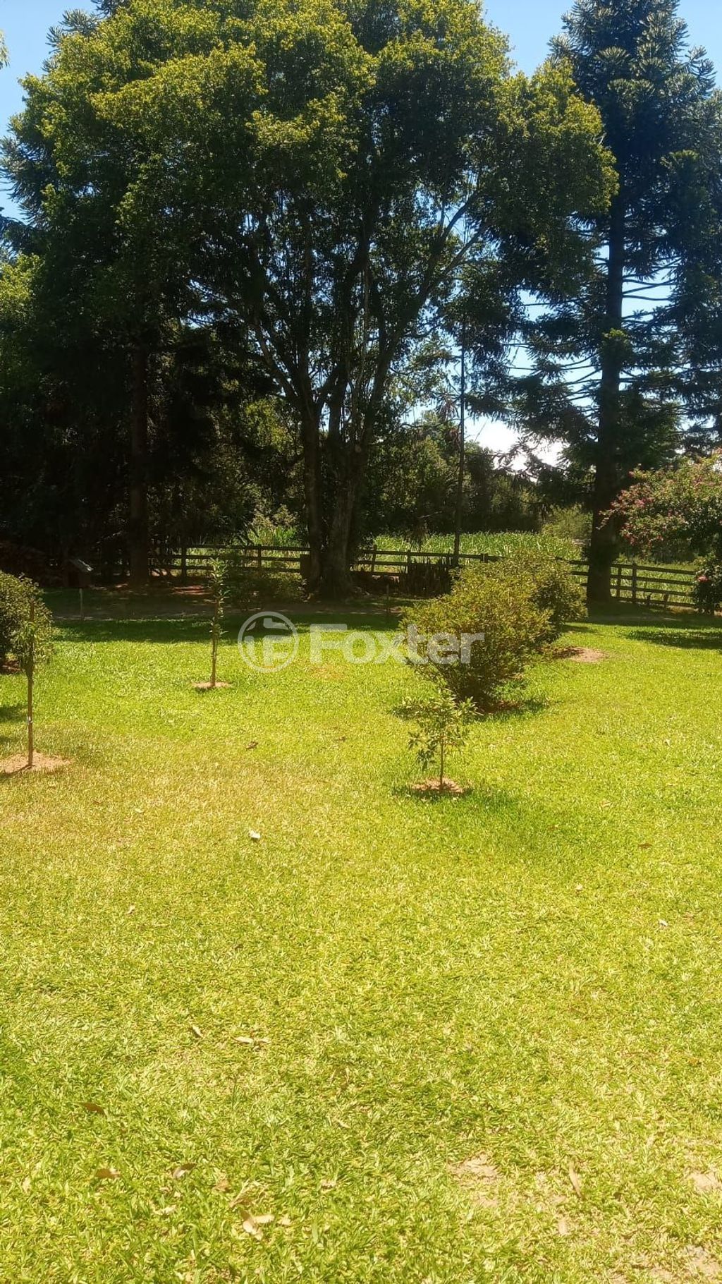 terreno lote condominio para comprar em do Quilombo, 1641 - foto 7