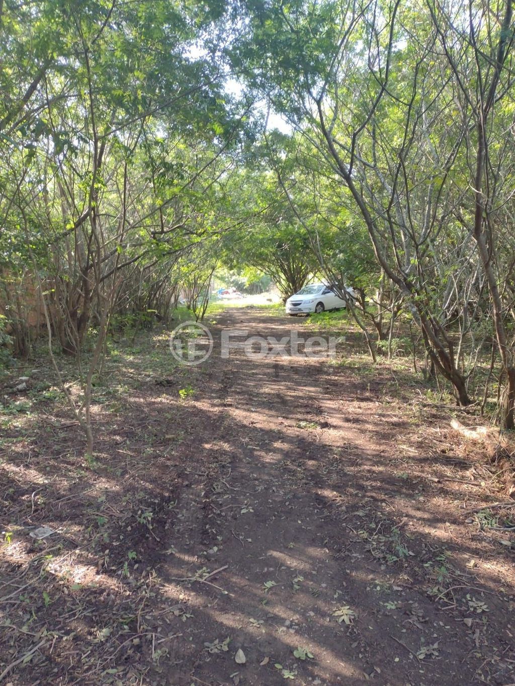 terreno lote condominio para comprar em Botafogo, 194 - foto 12