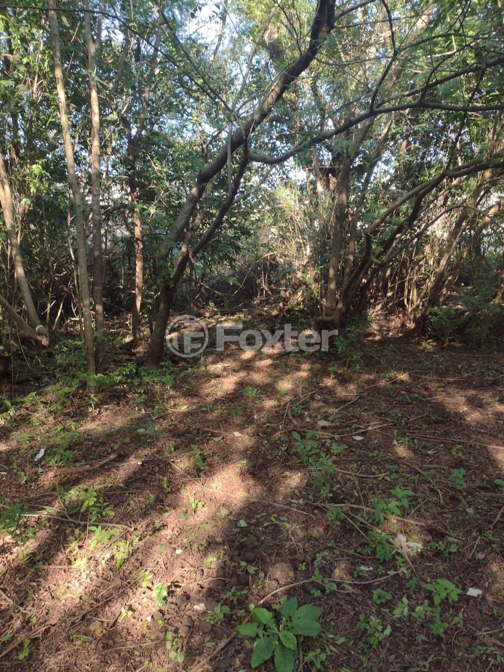 terreno lote condominio para comprar em Botafogo, 194 - foto 15