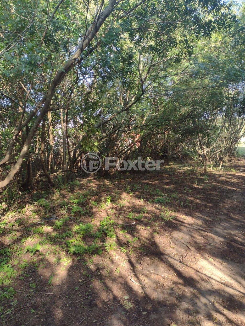 terreno lote condominio para comprar em Botafogo, 194 - foto 13