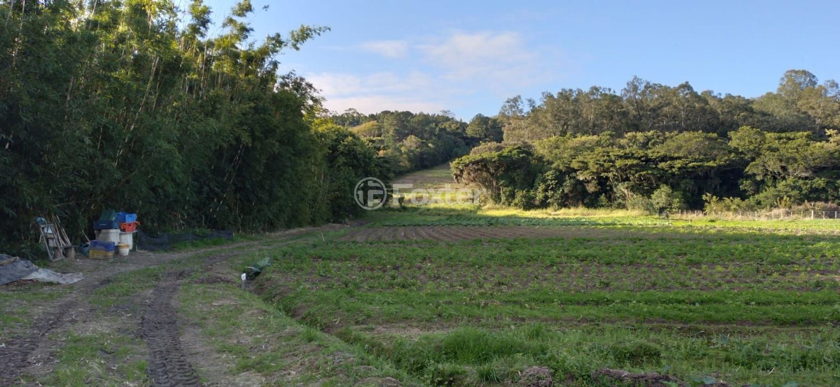 sitio chachara fazenda para comprar em do Lami, S/N - foto 10