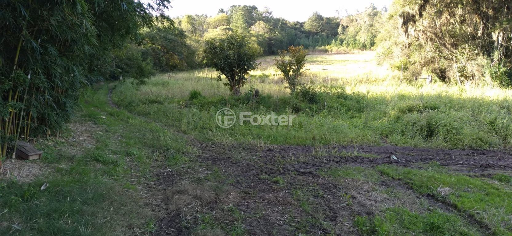 sitio chachara fazenda para comprar em do Lami, S/N - foto 13
