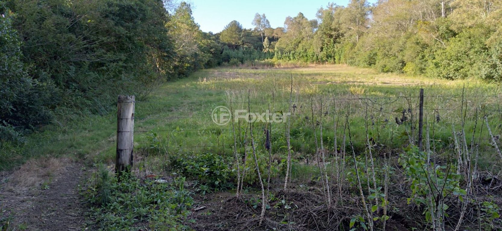 sitio chachara fazenda para comprar em do Lami, S/N - foto 14