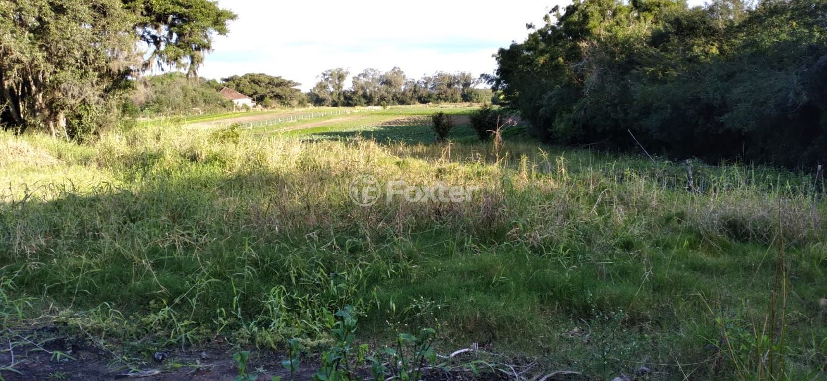 sitio chachara fazenda para comprar em do Lami, S/N - foto 15