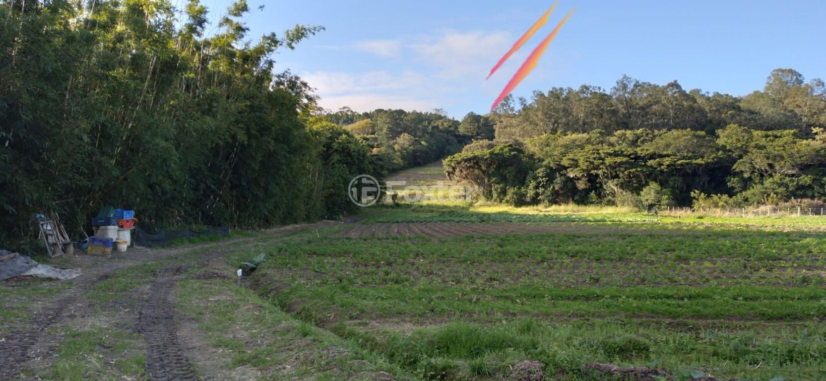 sitio chachara fazenda para comprar em do Lami, S/N - foto 20