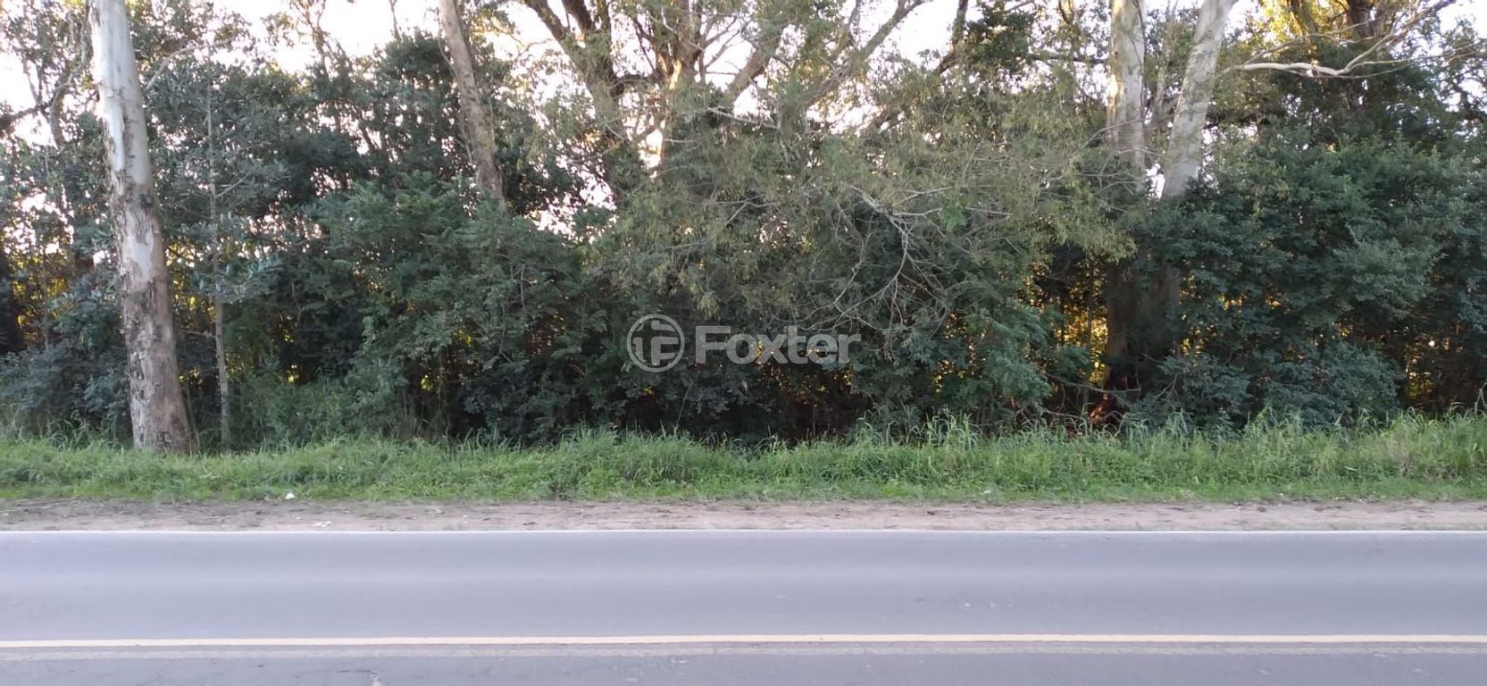 sitio chachara fazenda para comprar em do Lami, S/N - foto 21