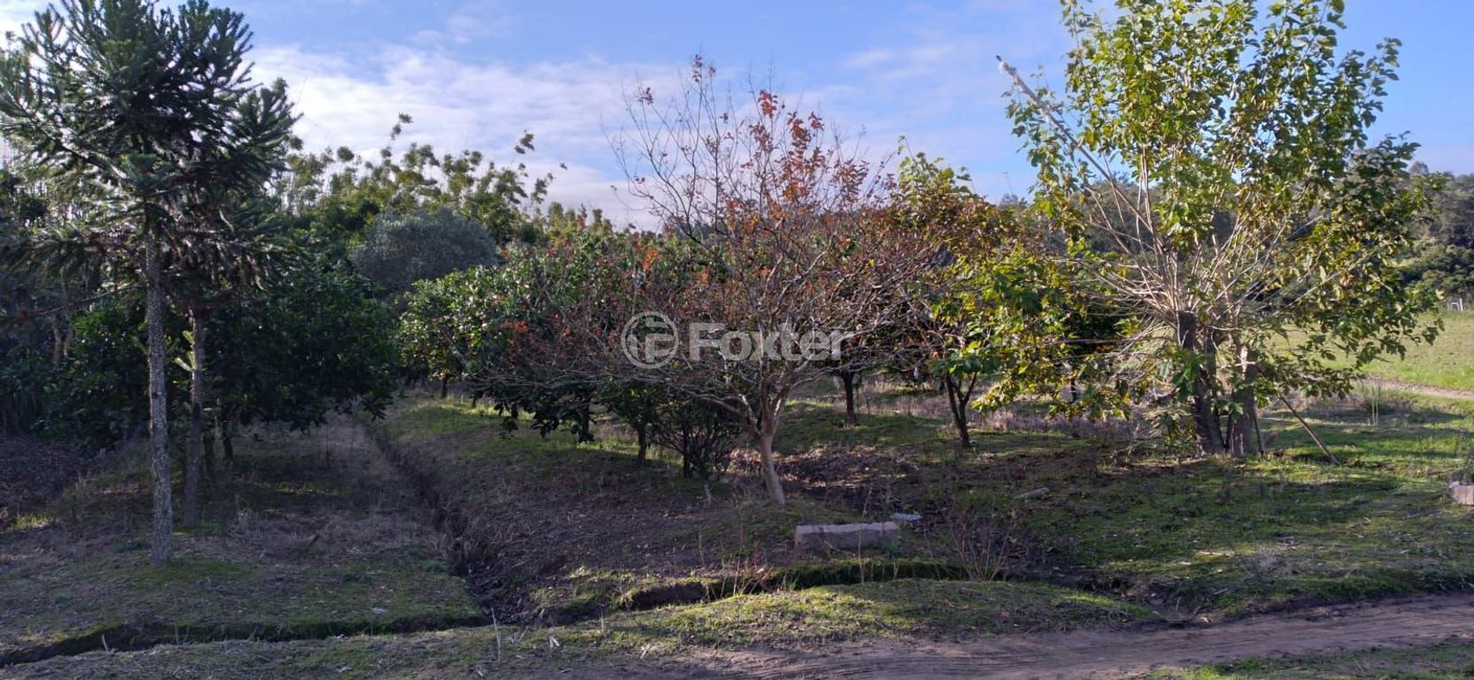 sitio chachara fazenda para comprar em do Lami, S/N - foto 7