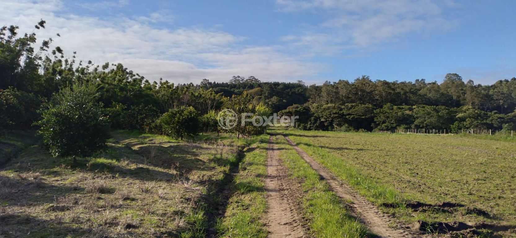 sitio chachara fazenda para comprar em do Lami, S/N - foto 8