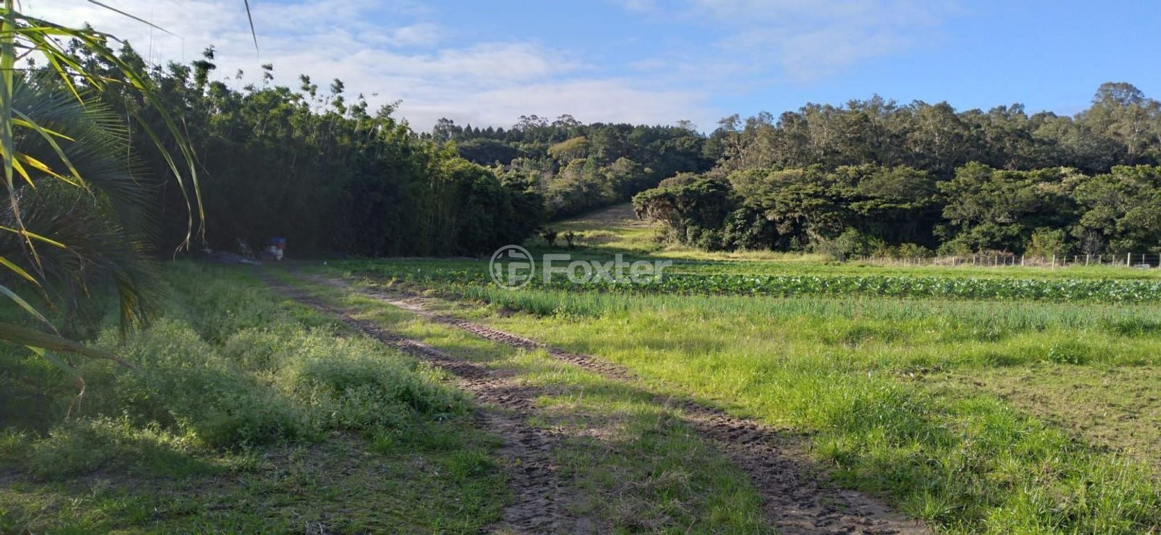 sitio chachara fazenda para comprar em do Lami, S/N - foto 9