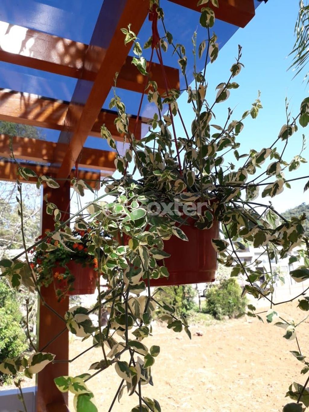 casa sobrado para comprar em Mathias Mombach, 2799 - foto 24