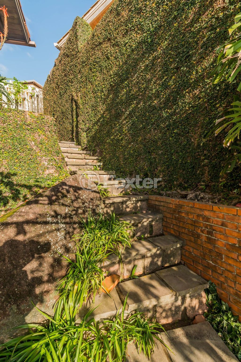 casa sobrado para comprar em Coronel Gomes de Carvalho, 481 - foto 72