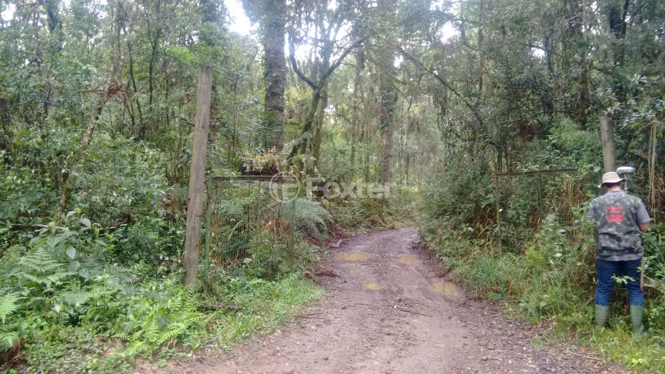 terreno lote condominio para comprar em José Pedro Piva, 1000 - foto 9