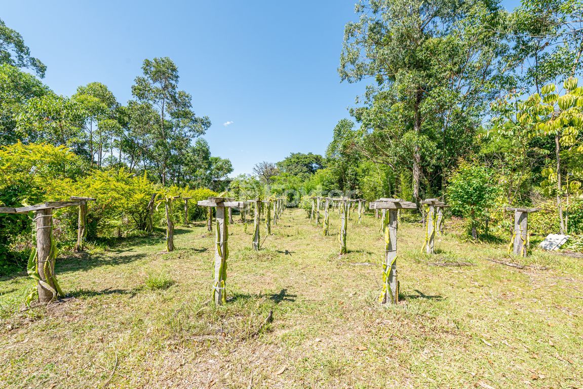sitio chachara fazenda para comprar em Professor Oscar Pereira, 7603 - foto 27