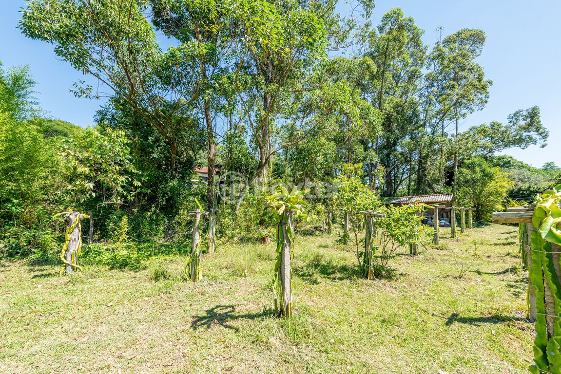 sitio chachara fazenda para comprar em Professor Oscar Pereira, 7603 - foto 28