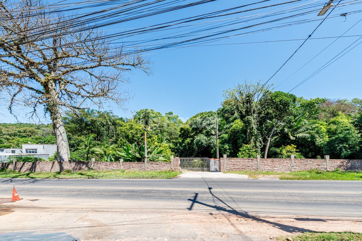 sitio chachara fazenda para comprar em Professor Oscar Pereira, 7603 - foto 35