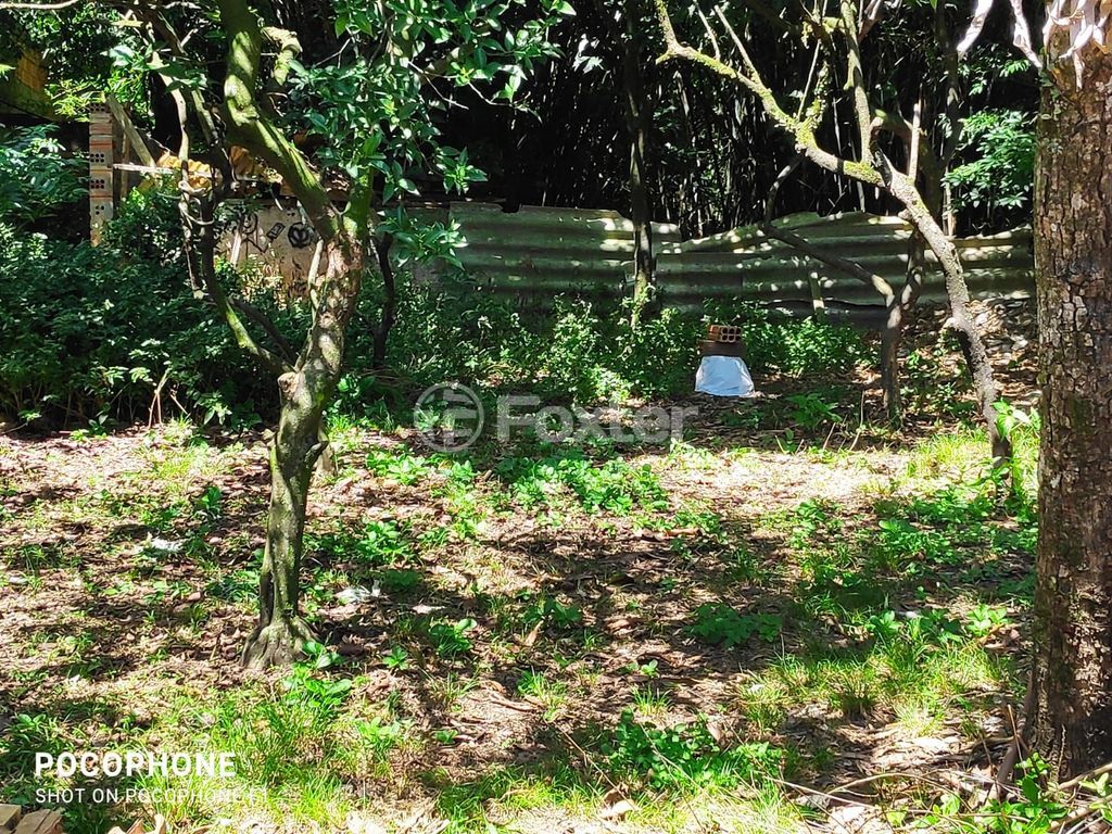 terreno lote condominio para comprar em João Vedana, 478 - foto 8