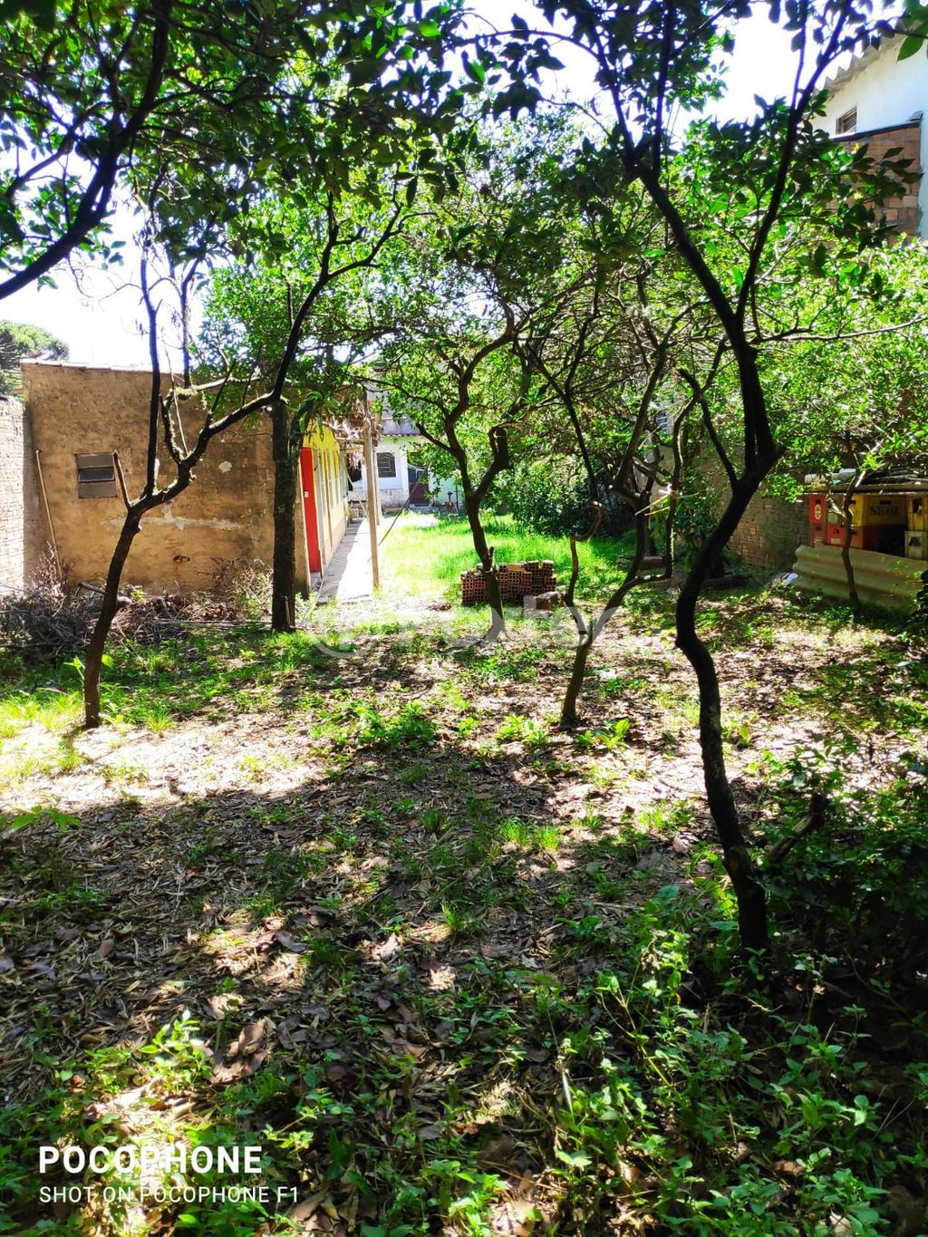terreno lote condominio para comprar em João Vedana, 478 - foto 6