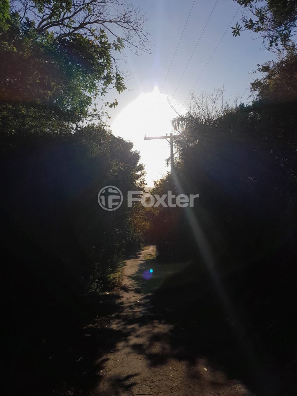 Foto 0