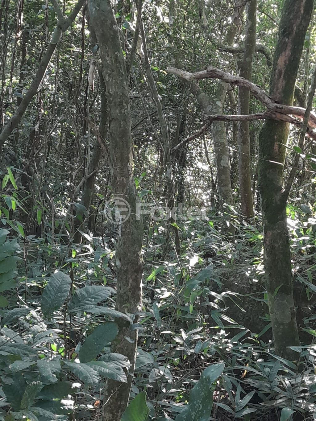 terreno lote condominio para comprar em Costa do Cerro, 1700 - foto 7