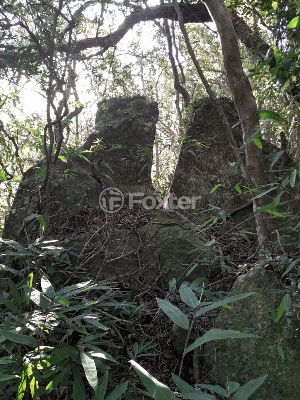 terreno lote condominio para comprar em Costa do Cerro, 1700 - foto 6