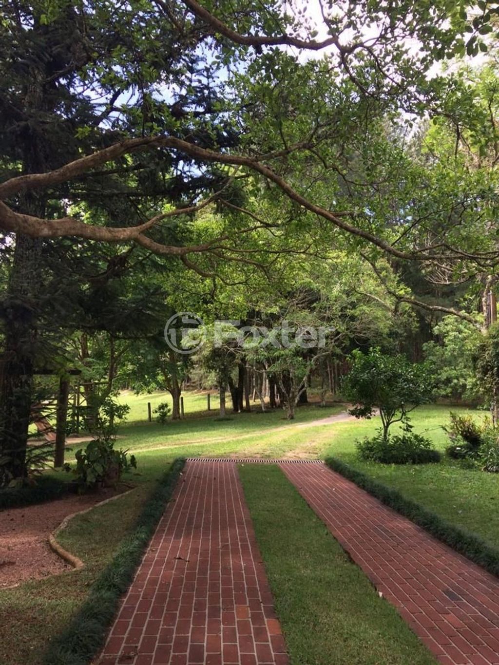 Foto do Anuncio