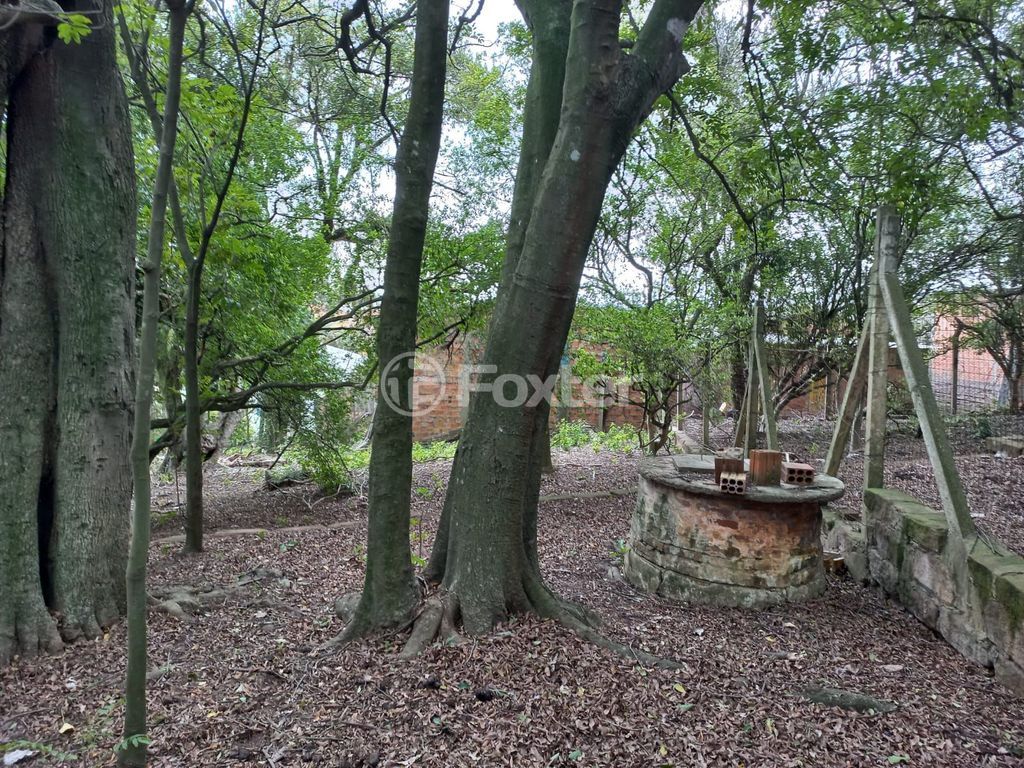 sitio chachara fazenda para comprar em Cézar Cambruzzi, 415 - foto 7