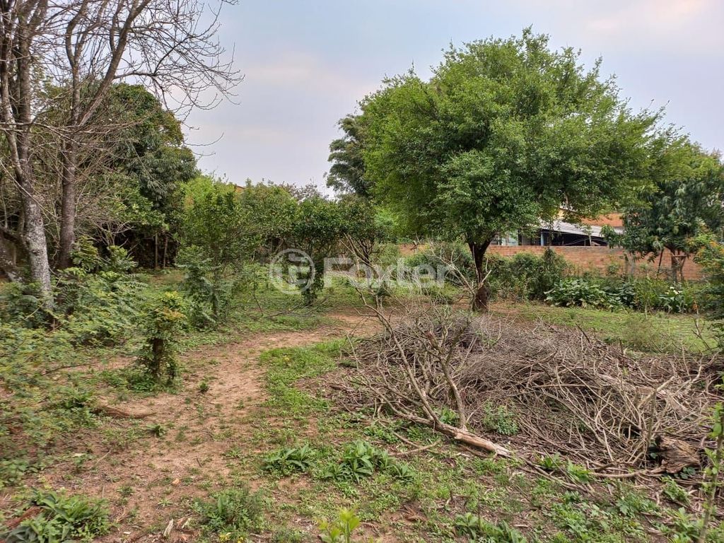 sitio chachara fazenda para comprar em Cézar Cambruzzi, 415 - foto 9