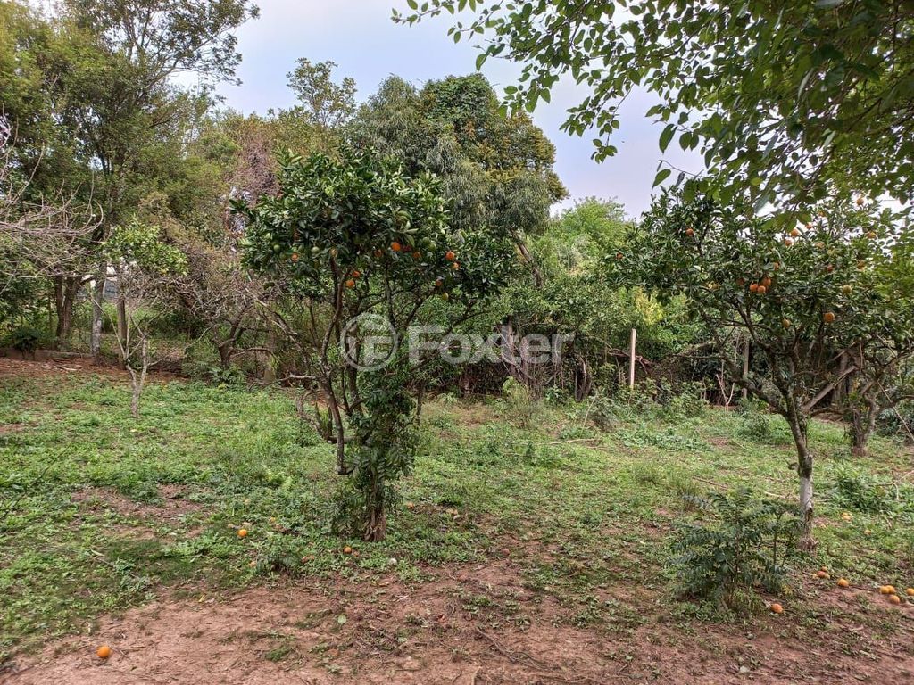 sitio chachara fazenda para comprar em Cézar Cambruzzi, 415 - foto 10
