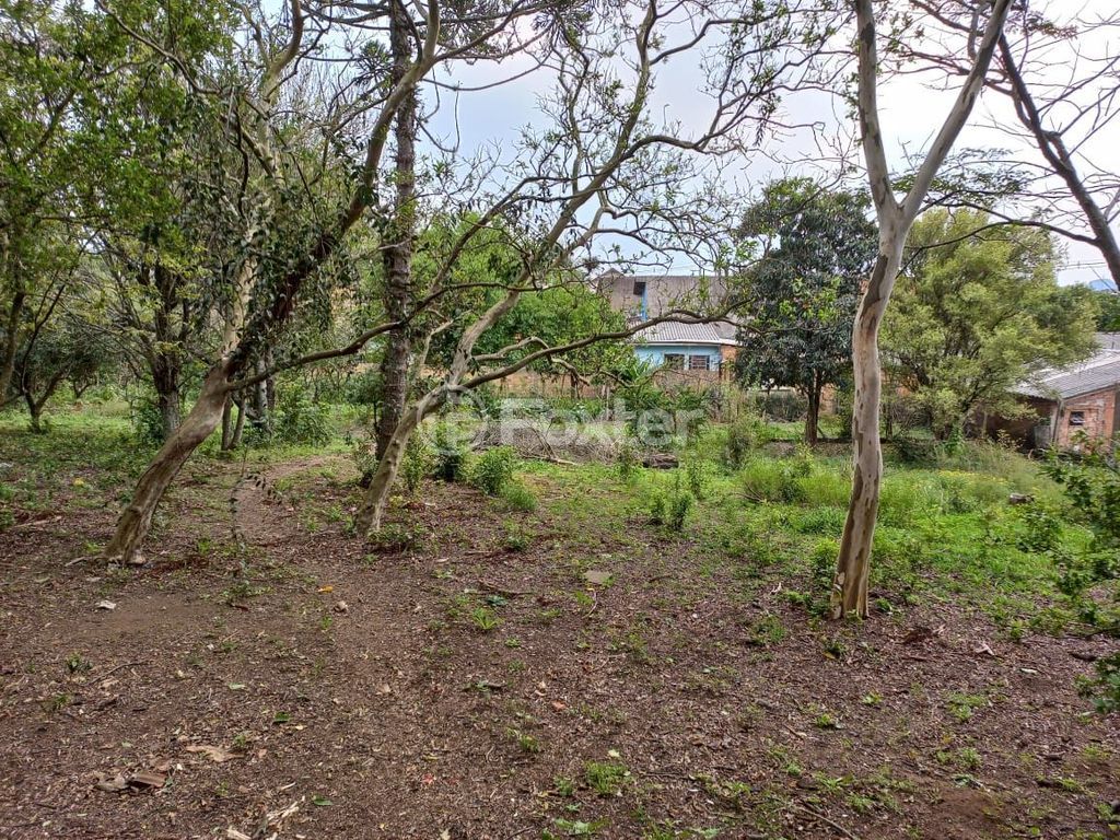 sitio chachara fazenda para comprar em Cézar Cambruzzi, 415 - foto 8