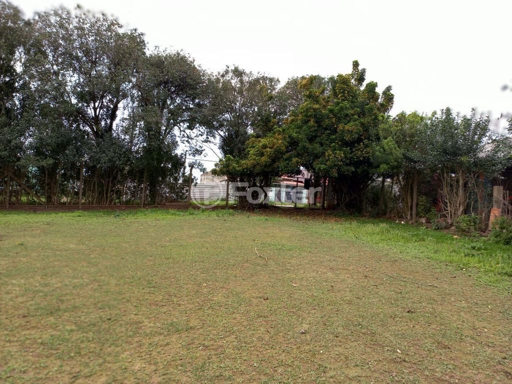 sitio chachara fazenda para comprar em Cézar Cambruzzi, 415 - foto 13