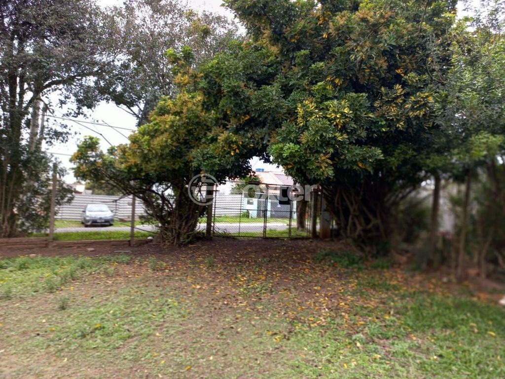 sitio chachara fazenda para comprar em Cézar Cambruzzi, 415 - foto 14